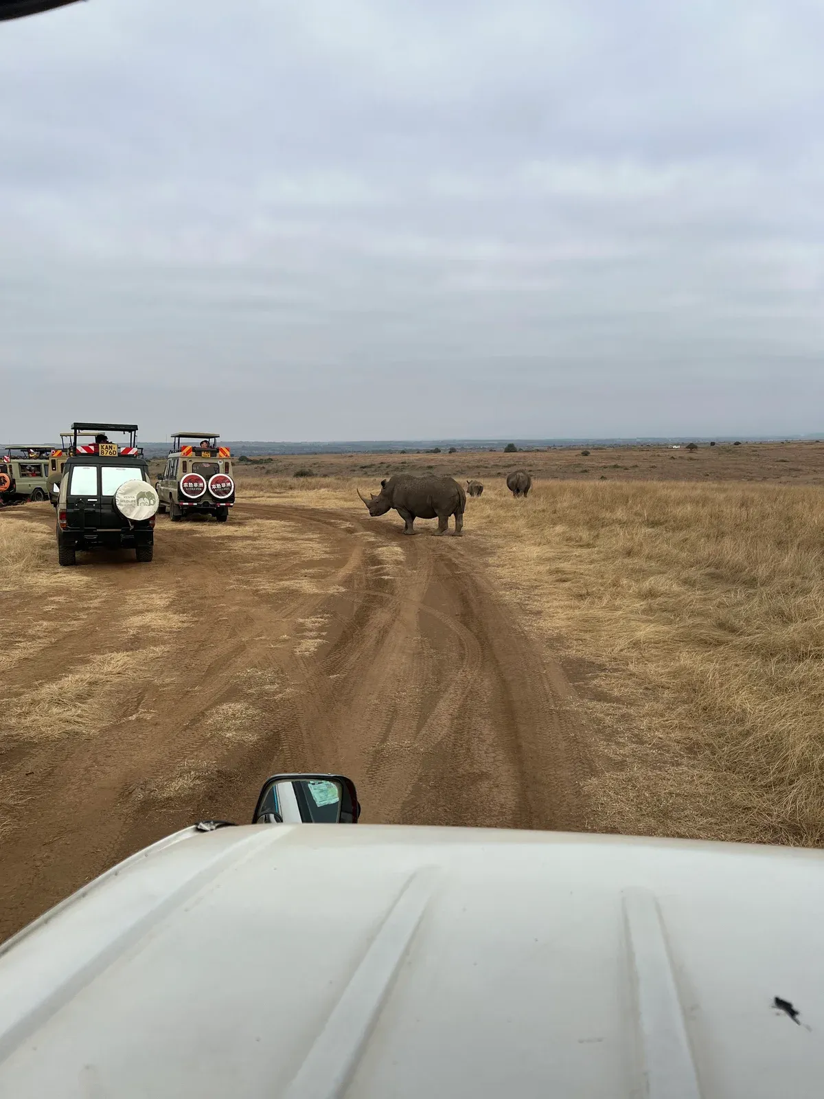 Safari vehicles stopped on a dirt track near a rhino after entering Nairobi National Park by the East Gate