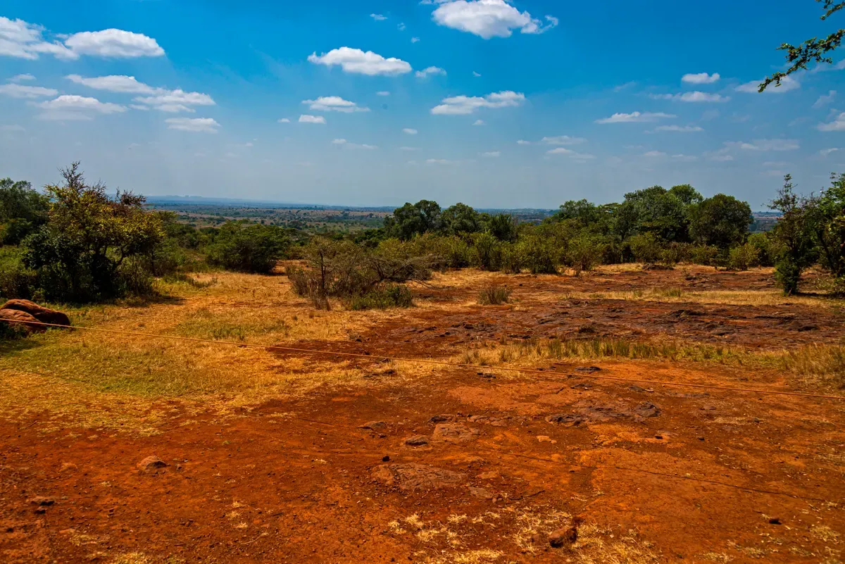 Red earth, bush and open plains of Nairobi National Park under a blue sky